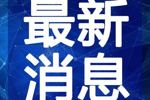 金沙洲新闻爆料视频最新,最新视频揭露惊人内幕！